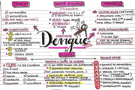 dengue mapa mental